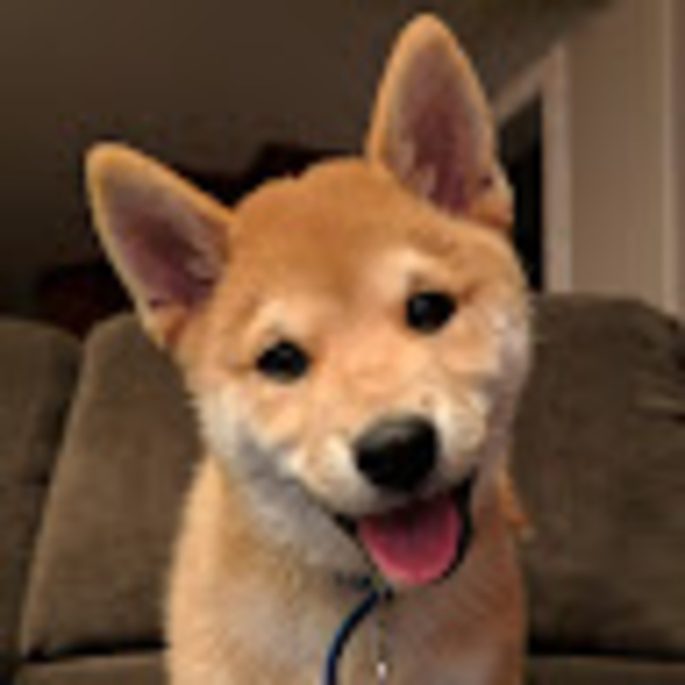 Meet your Posher, Melody